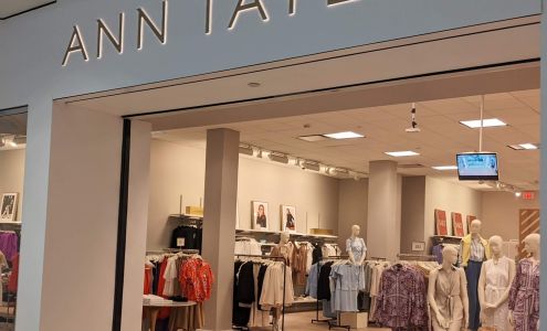 Ann Taylor