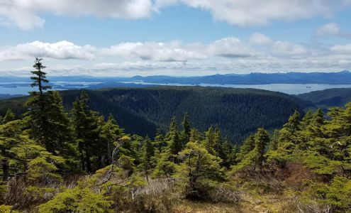 NAPA Auto Parts - High Tide Enterprise LLC Petersburg