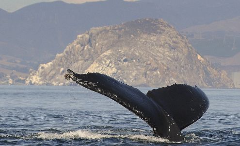 Energetics Business System Inc