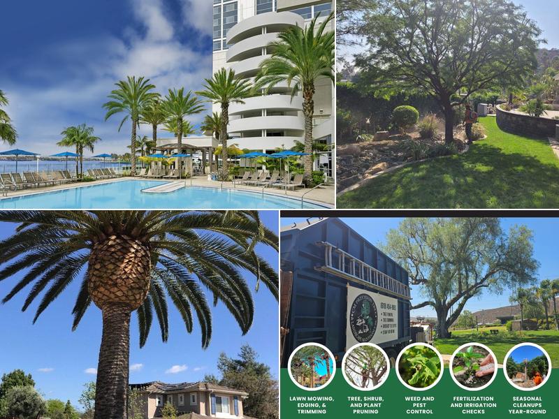 CM Precision Tree and Landscape Maintenance Inc