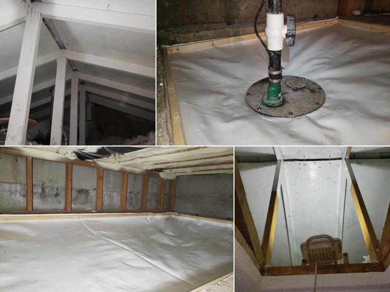 Bellingham Mold Removal, Remediation & Inspection