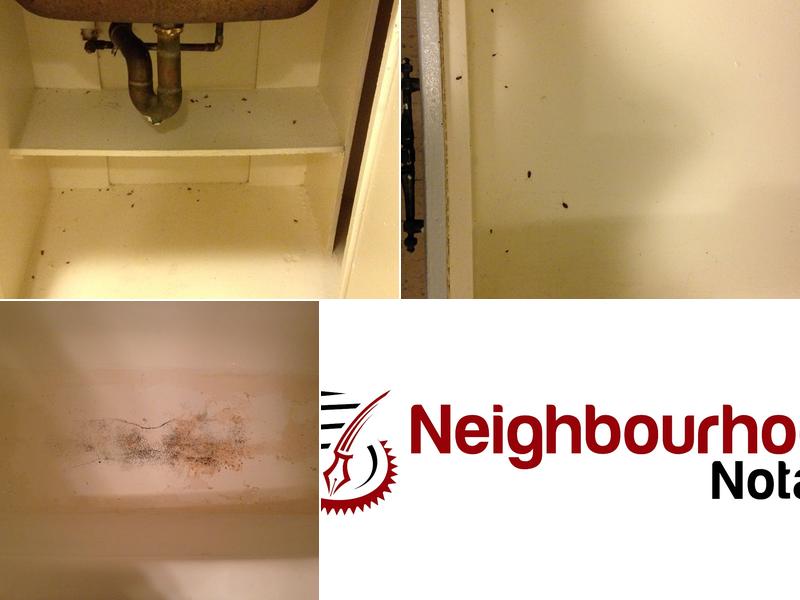 Neighbourhood Notary (Ottawa - Alta Vista)