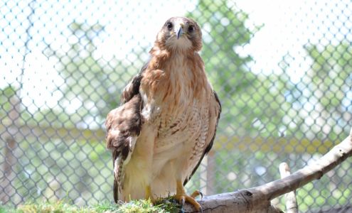 Back to Nature Wildlife Refuge