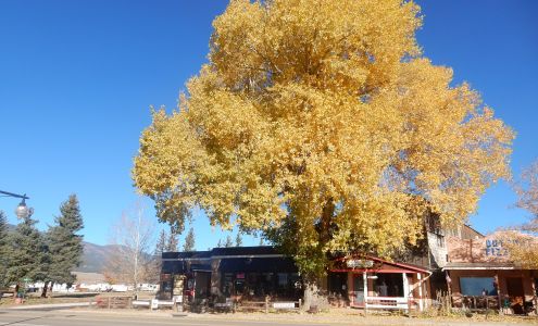 Spirit Wind Gallery Eagle Nest