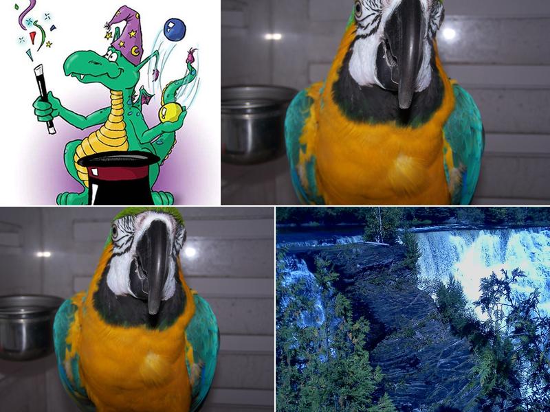 Magic Dragon Entertainment