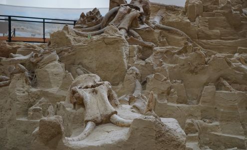 The Mammoth Site Hot Springs