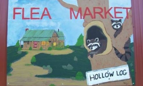 HOLLOW LOG FLEA MARKET Falcon