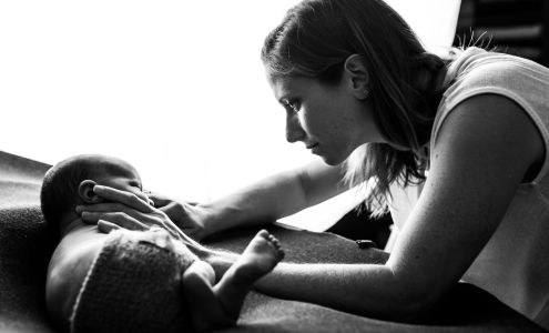 Blooming Tree Photography