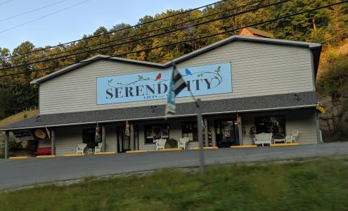 Serendipity Gifts & Toys