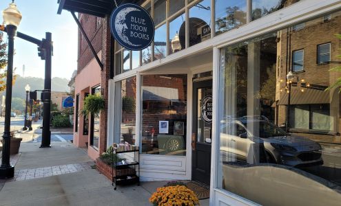 Blue Moon Books