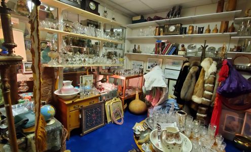 The Indefinite Article