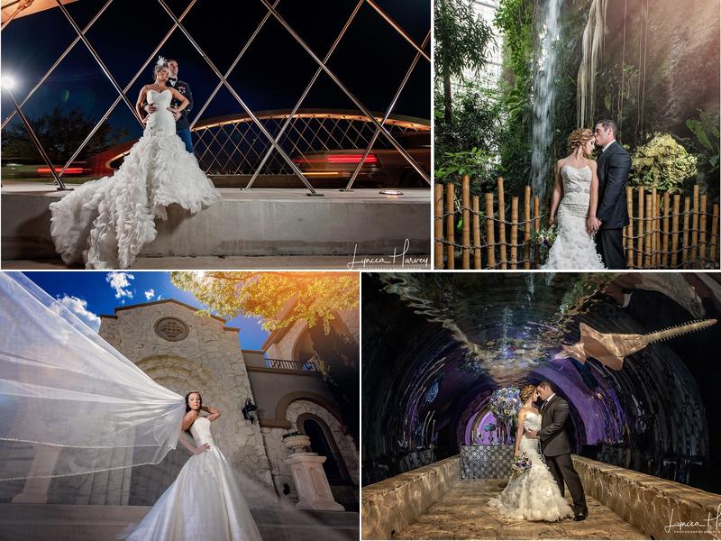 Lyncca Harvey Photography