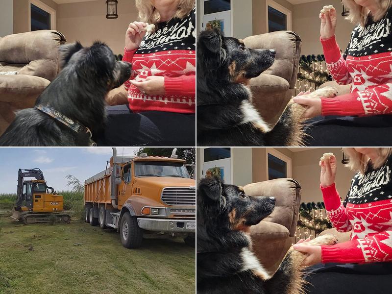 Paul Brown & Son Excavating Ltd