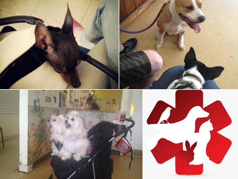 Bild Animal Hospital