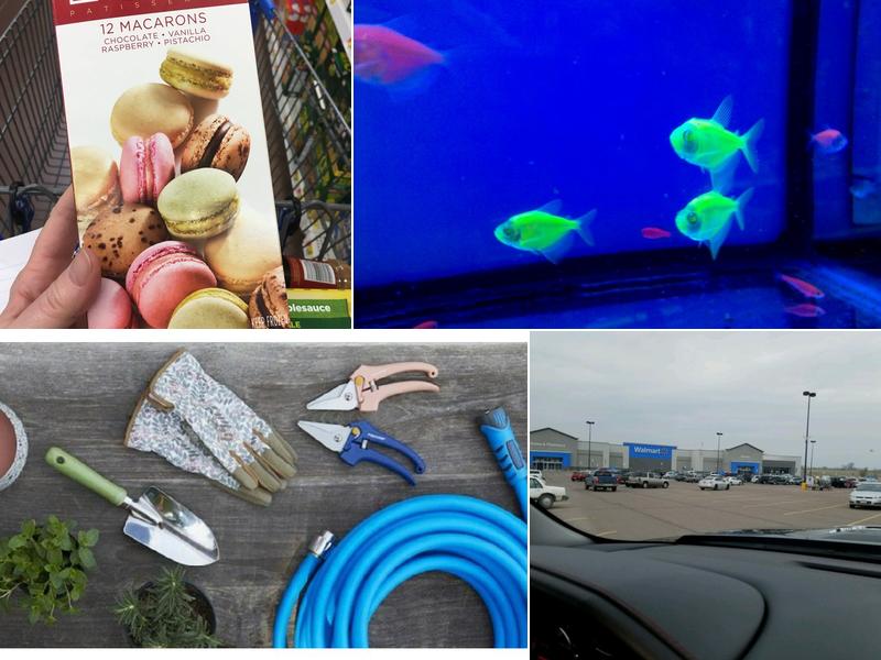 Walmart House Cleaning Services