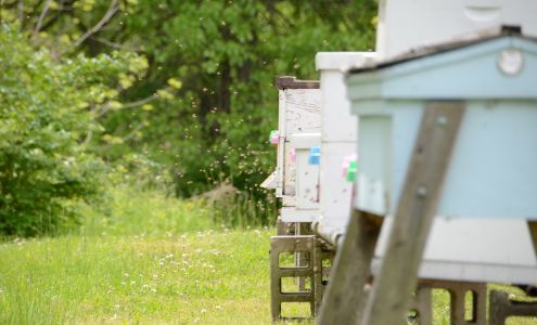 The Bee Barn | Honey Farm & Beekeeping Store