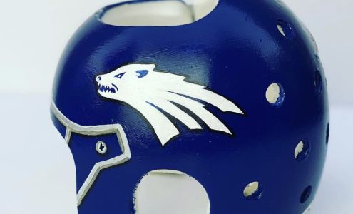 Orthopedic Motion Inc.