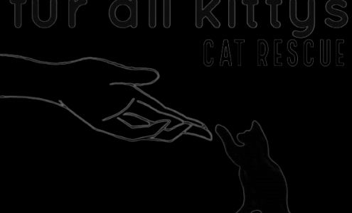 Fur All Kittys