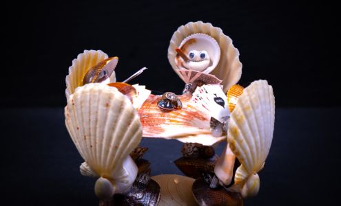 Darlene's Shells Inc