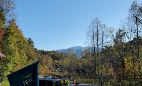 Vern Hippensteal Gallery