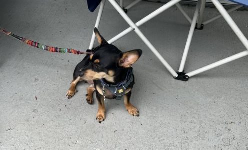 Evanbrook Apartments