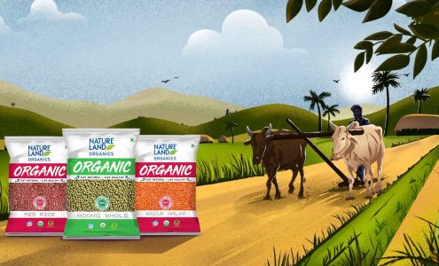 Reshmi's Group, Inc.