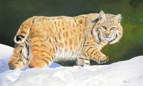 Studio 7 Fine Art Gallery