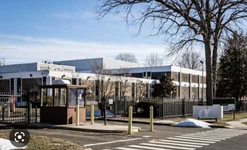 BSN Successful financial Services LLC