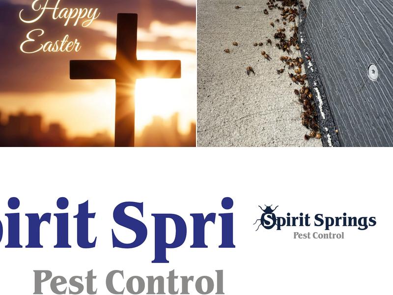 Spirit Springs Pest Control
