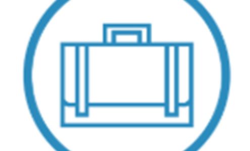 The Federal Savings Bank