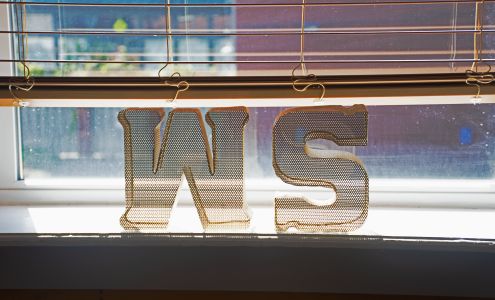 Wiser Strategies
