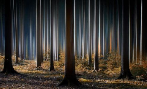 Productions FD2 4589 des, Chem. des Plaines, Saint-Antoine-de-Tilly Quebec G0S 2C0