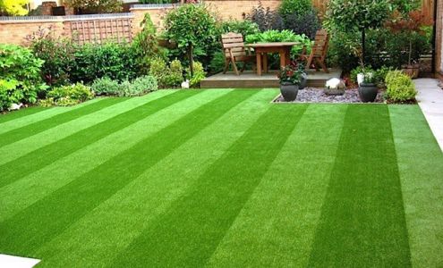 Pearl City Lawn & Pest Control