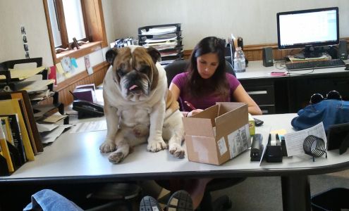 Mueller Excavating Inc 406 Campbellsport Dr, Campbellsport Wisconsin 53010