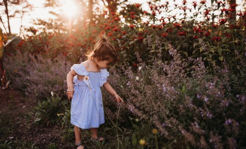 Sara Jasper Photography