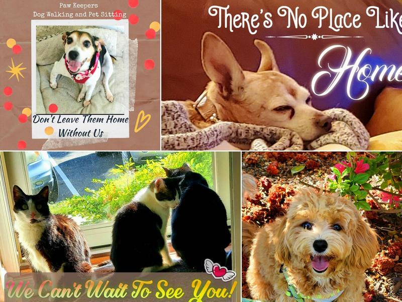 Paw Keepers Dog Walking and Pet Sitting Service