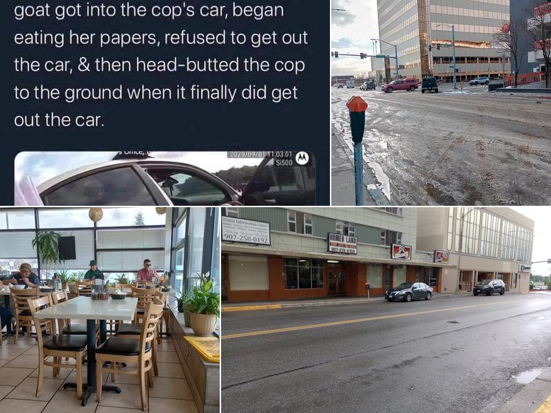 Alaska Investigations Group