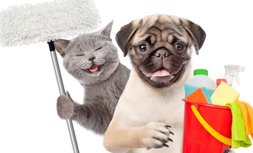 Kassube Cleaners services LLC 537 Milford St, Watertown Wisconsin 53094