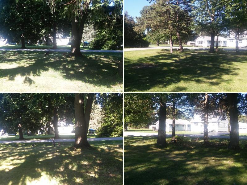 Labonne's Masonry & Ceramic