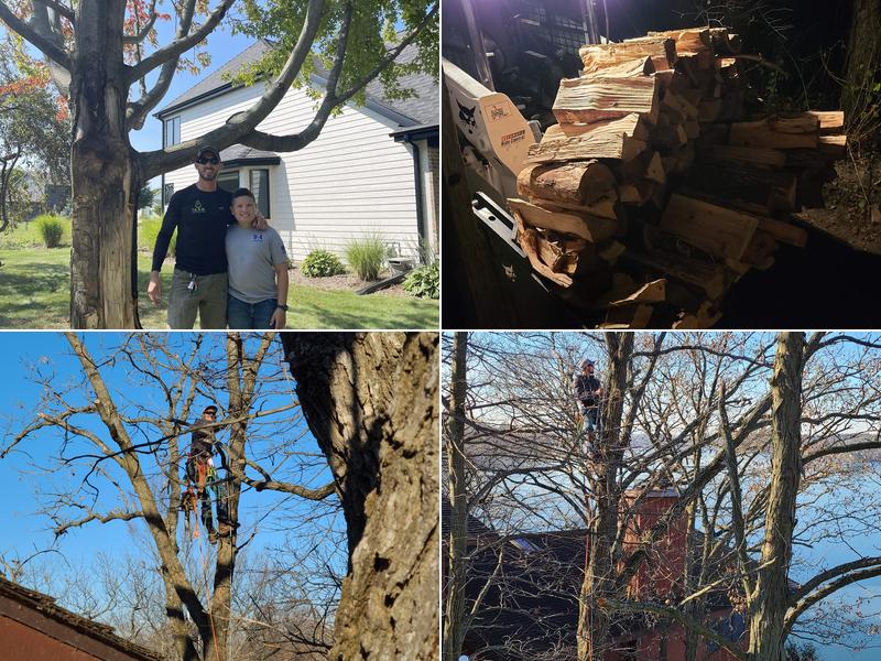 Team Contracting Corp