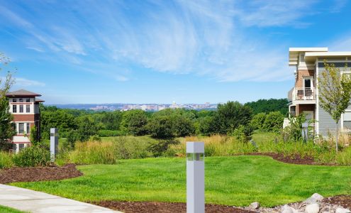 Madison Landscape Construction