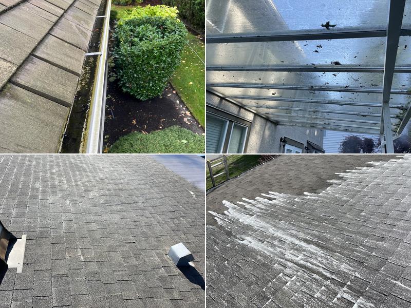 2 Angels Home Services