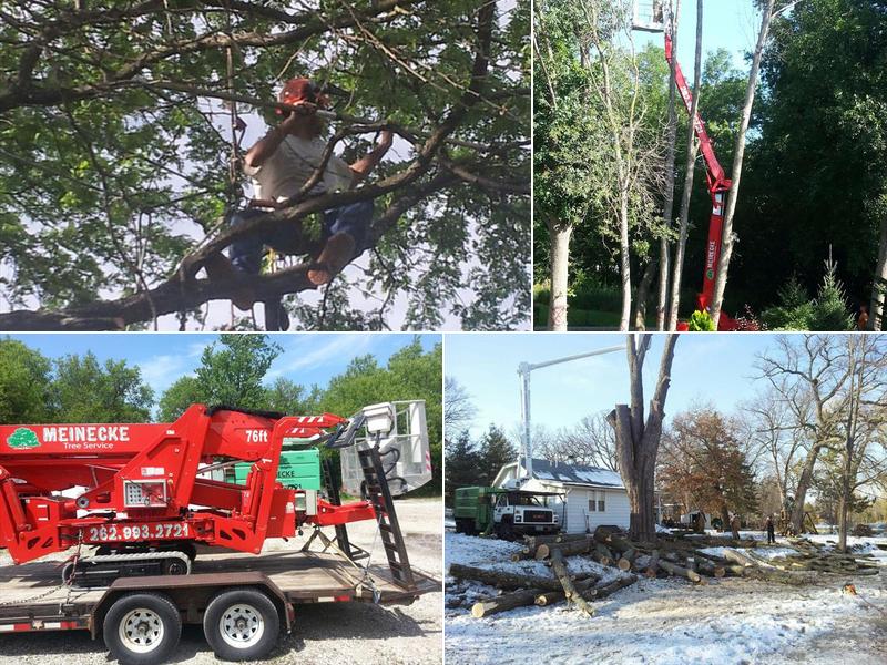 Meinecke Tree And Landscape Services