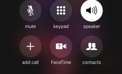 Dr. Michele C. Reed, DO