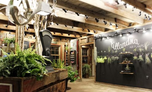 Distinctive Gardens Inc