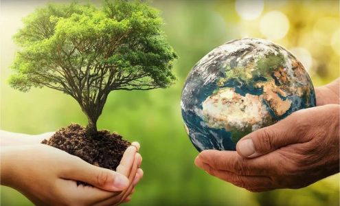 Ed Neuens Excavating & Sanitation 1887 Neuen Ln, Niagara Wisconsin 54151