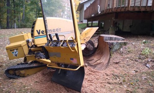 Countryside Stump Removal N469 Laney Rd, Seymour Wisconsin 54165
