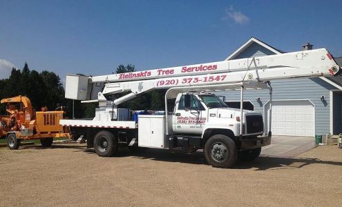 Zielinski's Tree Services W9551 W 24th Rd, Pound Wisconsin 54161