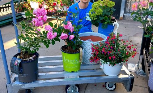 Walmart Patio & Garden Services