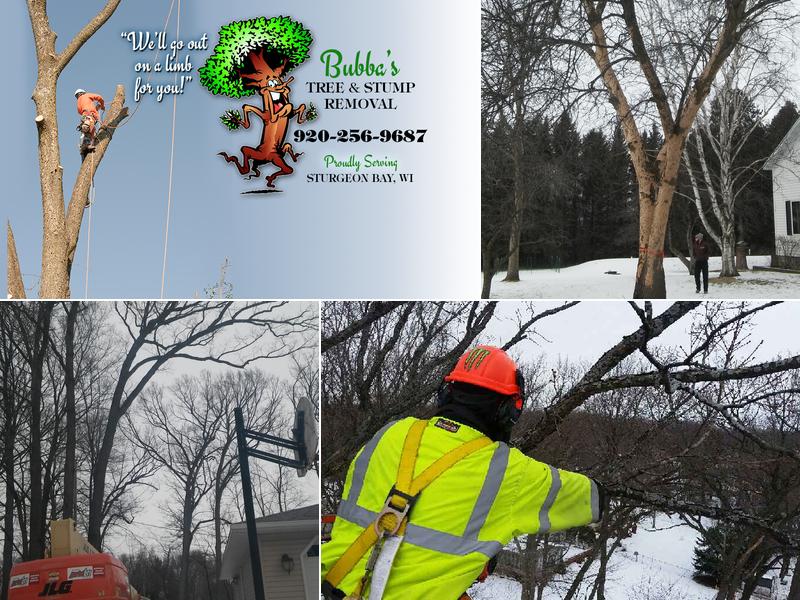 Bubba's Tree & Stump Removal